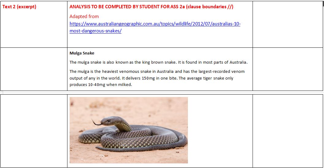snake3-1689309865.jpg