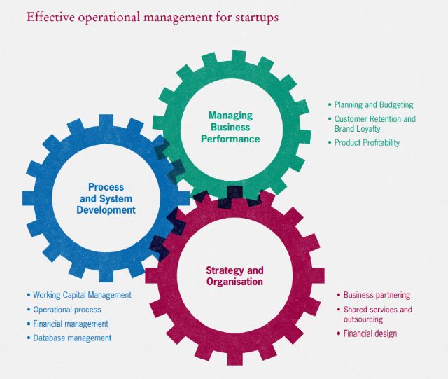 startup4-1689570792.jpg